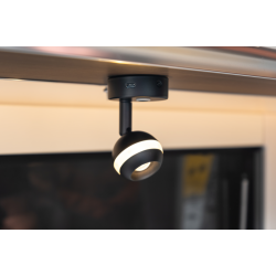 Spotlampe "Arsie" 12V