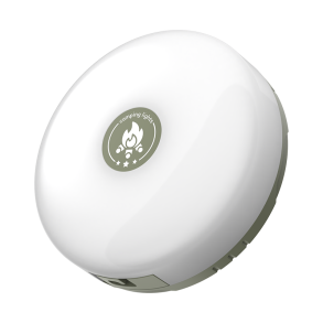 Lampe med 10 LED snor